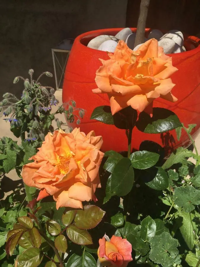 Farm stay Ferme Familiale Chez Lili Villa Alex